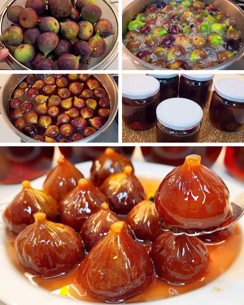 508861090_698127213114845_4987116339090075376_n