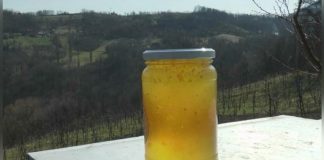 Evo zašto med nikad ne treba uzimati drvenom kašikom: kad čujete razlog pripašće vam muka, sve vrijeme smo se trovali