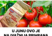 U JUNU OVO JE NAJVAŽNIJA PRIHRANA ZA PARADAJZ, KRASTAVCE, PAPRIKE!