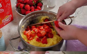 15 MINUTNI KOLAČ SA JAGODAMA I PLAZMOM