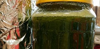 Med od čuvarkuće liječi cijelo tijelo, evo kako da ga napravite: brzo zapišite recept, izvlači sva oboljenja