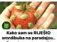 Kako sam se RIJEŠIO smrdibuba na paradajzu.. Ovu stvar ne mogu da podnesu