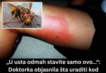 „U usta odmah stavite samo ovo…“: Doktorka objasnila šta uraditi kod ujeda stršljena, prvih 5 minuta su ključni