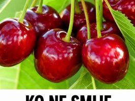 Ko ne smije jesti trešnje? Ako imate ovaj zdravstveni problem, morate ih izbjegavati…