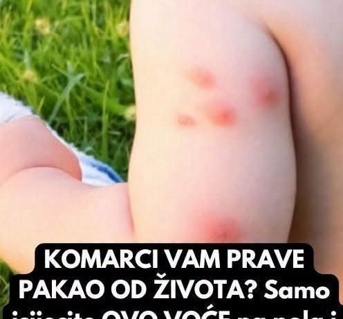 KOMARCI VAM PRAVE PAKAO OD ŽIVOTA? Samo isijecite OVO VOĆE na pola i ostavite u sobi, VIŠE IH NIKADA NEĆETE VIDJETI BLIZU!