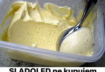SLADOLED ne kupujem cijelo ljeto: Pravim ga od pavlake i šlaga za samo 3 minute!