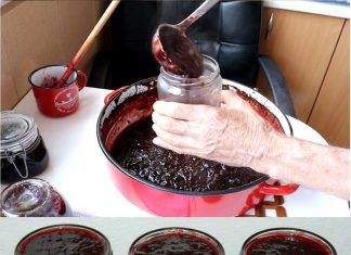 KAKO SPREMITI DŽEM OD ŠLJIVA U RERNI? Bolji ukus ne možete zamisliti!