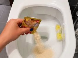 STAVILA SAM KVASAC U WC ŠOLJU I SAČEKALA SAT VREMENA: Kad sam ušla u WC nisam mogla da vjerujem