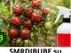 SMRDIBUBE su NESTALE za 24 sata! Nisam verovao dok nisam probao