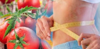 SVI SU POLUDJELI ZA PARADAJZ DIJETOM: Za 7 dana se gubi 10 KILOGRAMA, a tek da čujete KOLIKO MRŠAVITE ZA 3 DANA