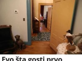 Evo što gostima prvo ‘zapne za oko’ kada vam dođu u posjet