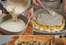 15 MINUTNI MAK KOLAČ SA BRESKVAMA…Recept za koji vam ne treba nikakvo umijeće…