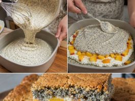 15 MINUTNI MAK KOLAČ SA BRESKVAMA…Recept za koji vam ne treba nikakvo umijeće…