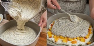 15 MINUTNI MAK KOLAČ SA BRESKVAMA…Recept za koji vam ne treba nikakvo umijeće…