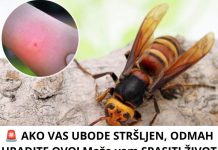 🚨 AKO VAS UBODE STRŠLJEN, ODMAH URADITE OVO! Može vam SPASITI ŽIVOT – a mnogi ljudi ne znaju za ovaj važan korak! 😱