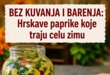 HRSKAVE PAPRIKE BEZ KUVANJA I BARENJA