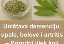 PRIRODNI LIJEK KOJI ĆE ZAMJENITI APOTEKU – Uništava demenciju, upale, BOLOVE i artritis