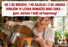 OD 2 KG BRESKVI, 1 KG KAJSIJA I 2 KG JABUKA DOBIJEM 14 LITARA DOMAĆEG MIKS SOKA – gust, mirisan i bolji od kupovnog!