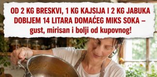 OD 2 KG BRESKVI, 1 KG KAJSIJA I 2 KG JABUKA DOBIJEM 14 LITARA DOMAĆEG MIKS SOKA – gust, mirisan i bolji od kupovnog!