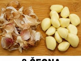 8 čeona bijelog luka stavio u 1 l vode I dogodilo mu se čudo!