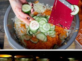 MIJEŠANA SALATA NA HLADNO…Recept naše vjerne čitateljke iz Vojvodine…