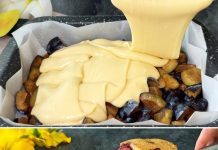 SEZONA JE ŠLJIVA? Bakin kolač sa šljivama 😋 – prava poslastica koja se topi u ustima! Recept za 15 minuta.