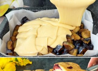 SEZONA JE ŠLJIVA? Bakin kolač sa šljivama 😋 – prava poslastica koja se topi u ustima! Recept za 15 minuta.