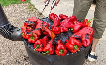 PRAVI DOMAĆI AJVAR OD 20 KG PAPRIKE: Bez patlidžana, a ovako pripremljen ima savršen ukus