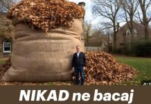 NIKAD ne bacaj jesensko lišće! Vrijedi više od zlata…