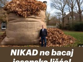 NIKAD ne bacaj jesensko lišće! Vrijedi više od zlata…