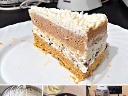 ODUŠEVITE GOSTE: Plazma torta s krem bananicama, gotova za 15 minuta!