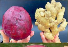 PRIRODNA BOMBA 🍊🍯… Za čišćenje jetre i krvnih sudova: 4 moćna sastojka!