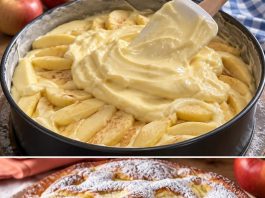 GOTOVA ZA 5 MINUTA…Italijanska pita sa jabukama i vanila kremom…