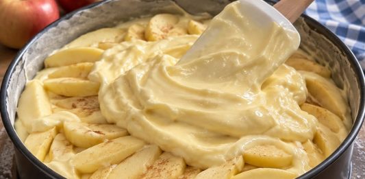 GOTOVA ZA 5 MINUTA…Italijanska pita sa jabukama i vanila kremom…
